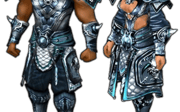 Metin2 Savaşçı Zırhları 